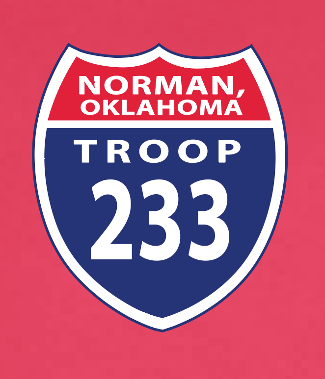 Troop 233 "Highway to Eagle" Design L/S T-shirt