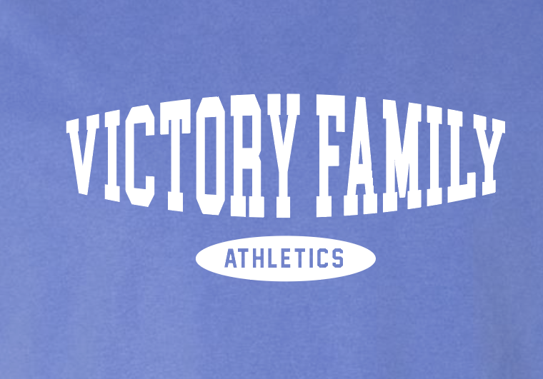 VFS "Basic Bulge" Design Comfort Washed S/S T-shirt (blue)