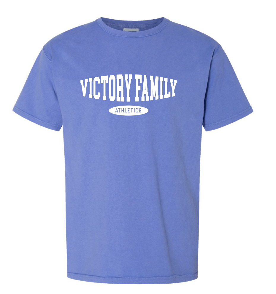 VFS "Basic Bulge" Design Comfort Washed S/S T-shirt (blue)