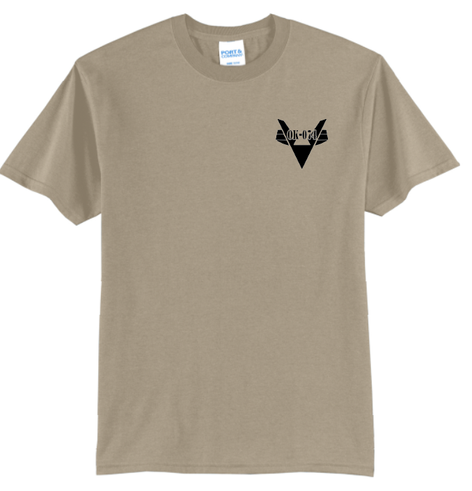 Cleveland County Composite Squadron S/S T-shirt (sand)