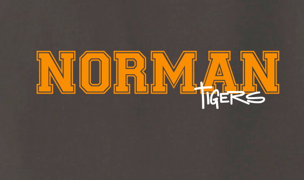 NHS Baseball "Simple Straight" Design Hooded Sweatshirt (drk heather)