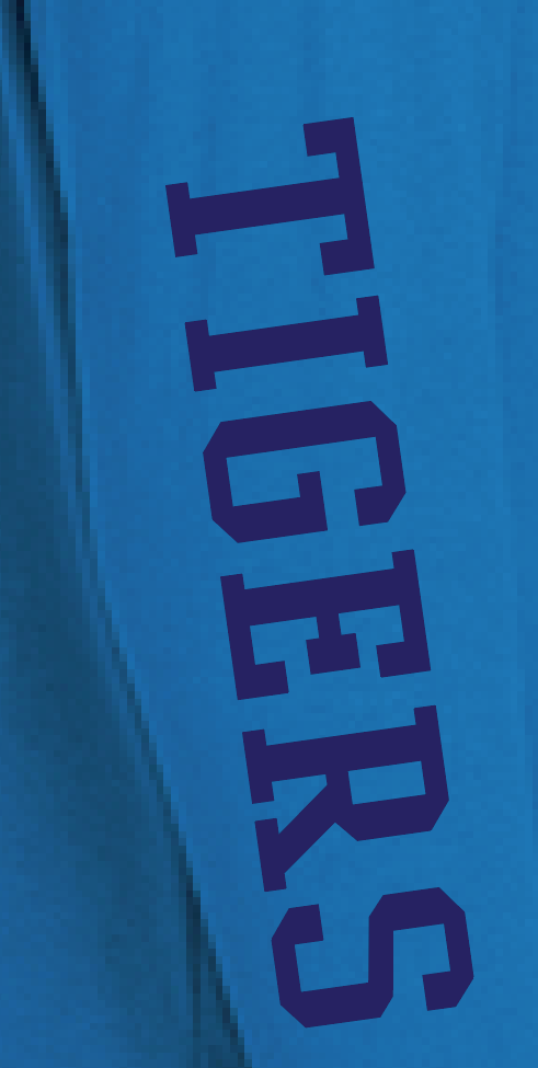 Jackson "Arch" Design Crewneck Sweatshirt