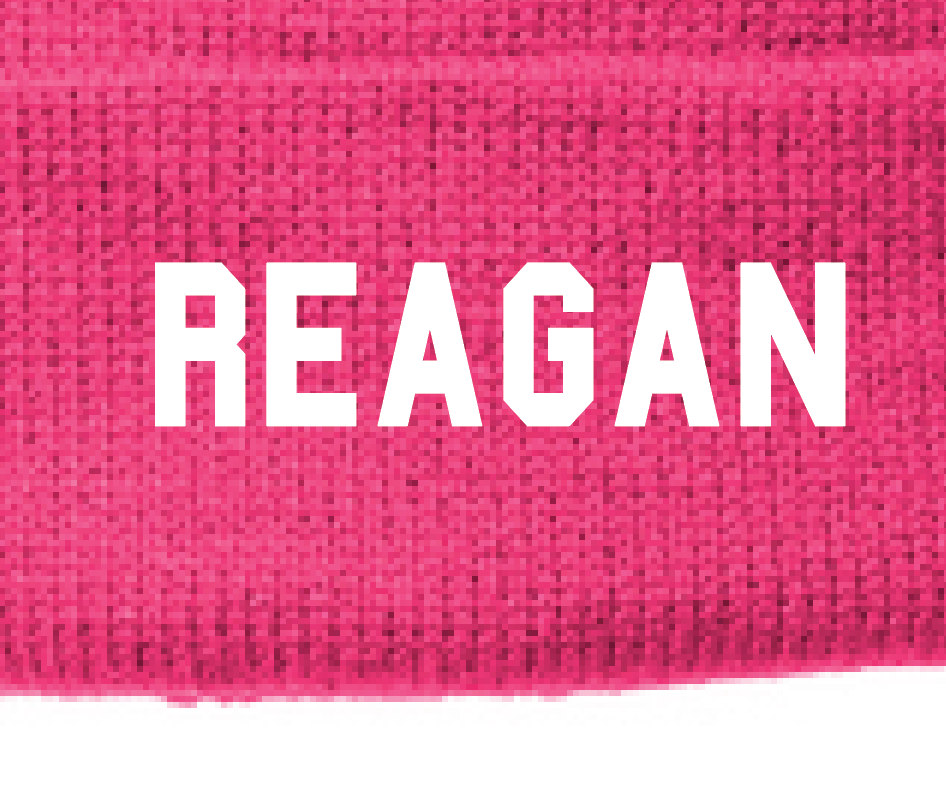 Reagan Embroidered Beanie (pink)