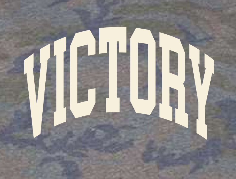 VFS "Arch Victory" Design S/S Camo T-shirt