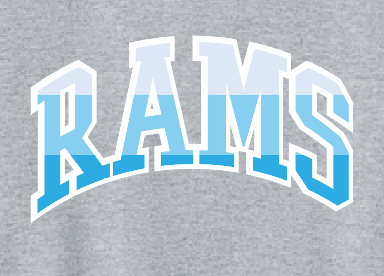 VFS "Color Stack" Design Crewneck Sweatshirt (youth)(heather)