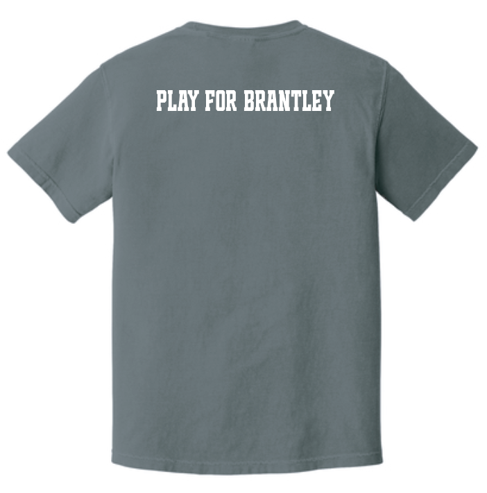 Team Brantley (Option 2) "Team Shirt" Comfort Colors S/S T-shirt (granite)