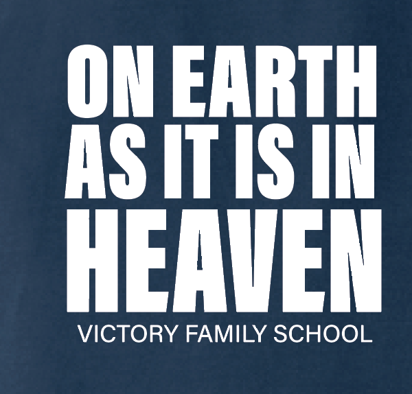 VFS "On Earth" Design Comfort Colors S/S T-shirt (navy)