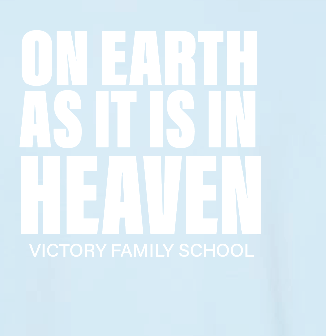 VFS "On Earth" Design Comfort Washed Crewneck Sweatshirt (blue)(youth)