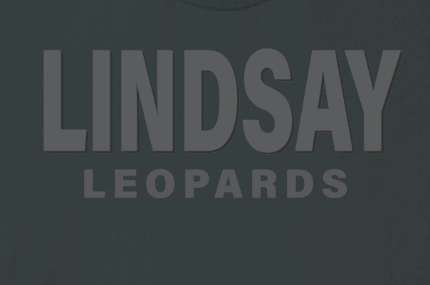 Lindsay Basketball "Leopards Puff" Design Hooded Sweatshirt (black)