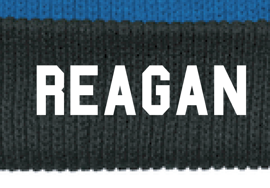 Reagan Embroidered Beanie (stripe)
