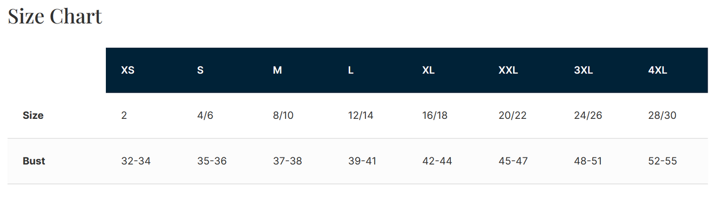 NHS PTA "Glitter" Design Women's Game V-neck Tee