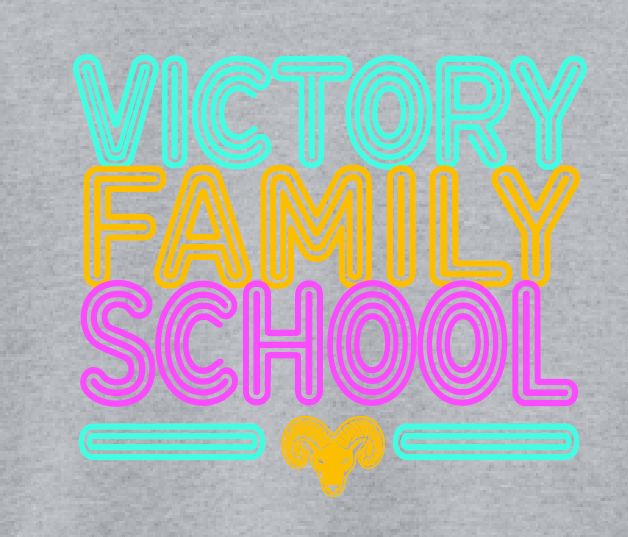VFS "Neon Fun" Design Crewneck Sweatshirt (youth)(heather)