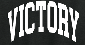 VFS "Arch Victory" Design Crewneck Sweatshirt (youth)(black)