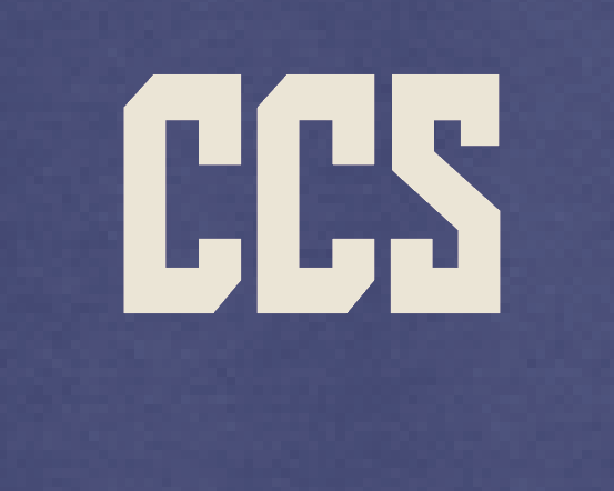 CCS Cheer "ROAR" Design Jerzees Crewneck Sweatshirt (purple)