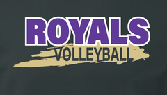 CCS Volleyball Practice Shirts (set of 2)