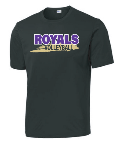 CCS Volleyball Practice Shirts (Set of 2)