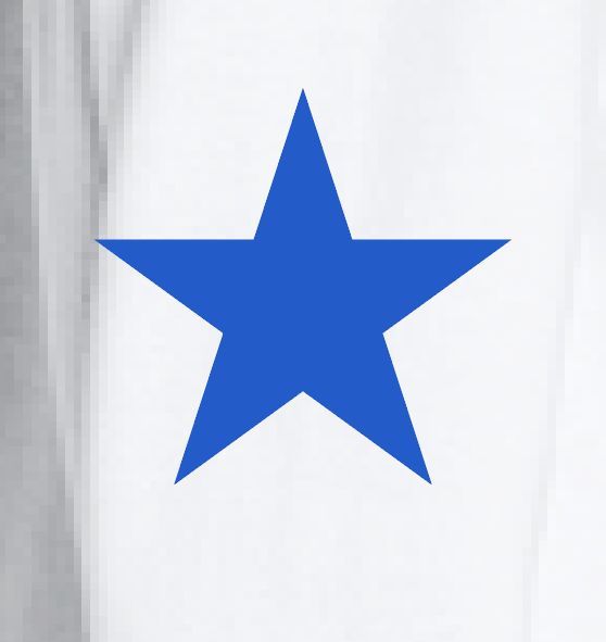 Kennedy "Star Sleeve" Design L/S T-shirt (white)