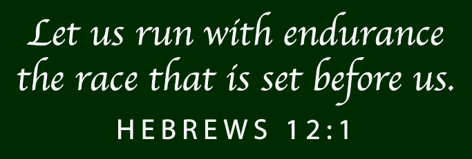 Coach Gildan Hooded Sweatshirt (forest)(youth)