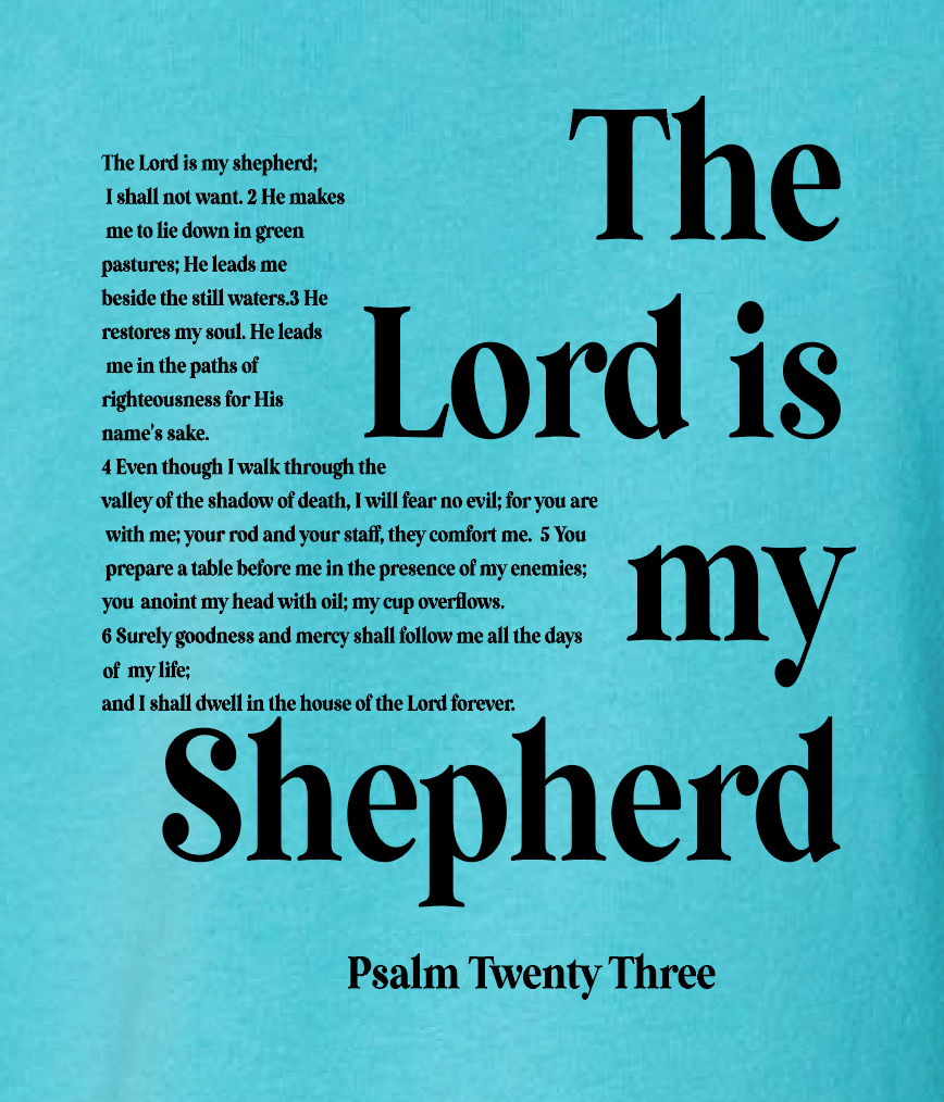 St. Andrews "Psalm 23" Design Rabbit Skins S/S T-shirt (chill)(infant/toddler)