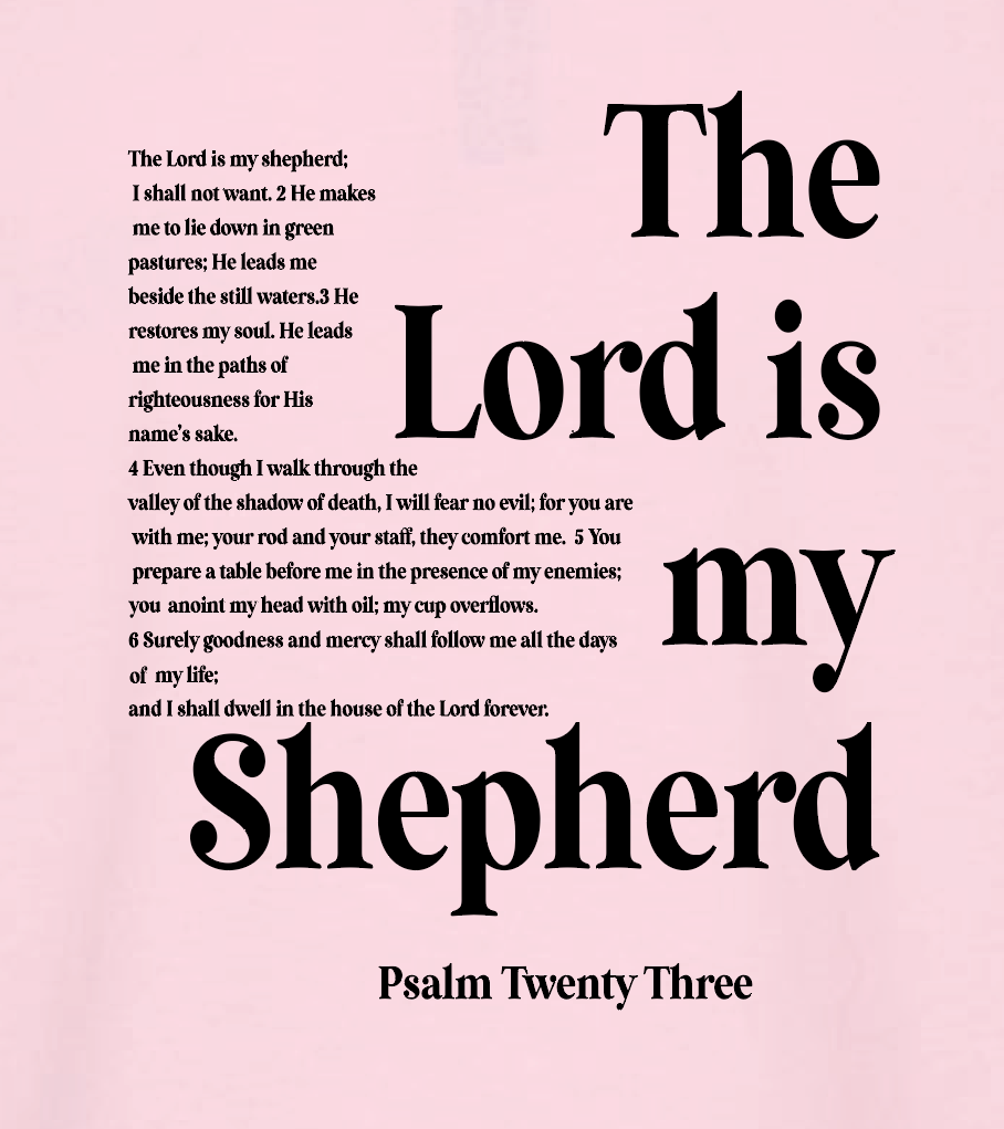 St. Andrews "Psalm 23" Design Rabbit Skins S/S T-shirt (pink)(infant/toddler)