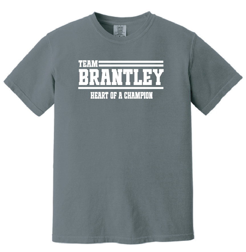Team Brantley (Option 2) "Team Shirt" Comfort Colors S/S T-shirt (granite)