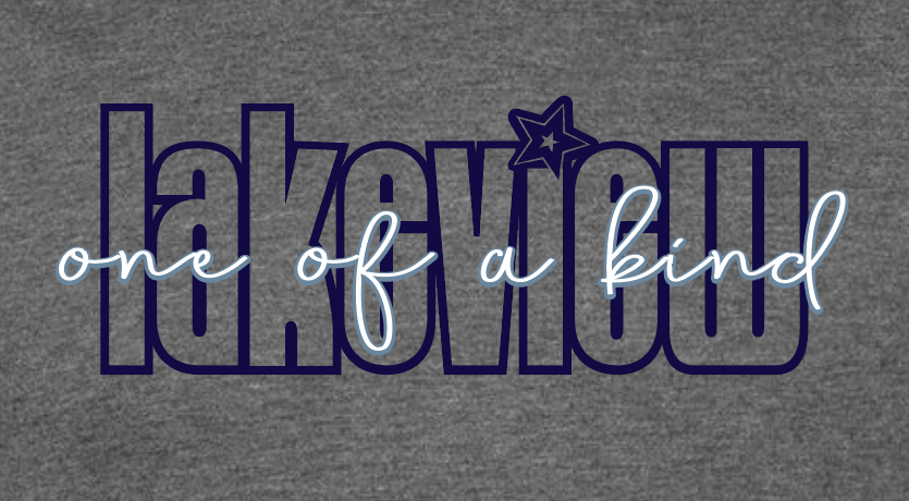 Lakeview "One of a Kind" Design L/S T-shirt (deep heather)