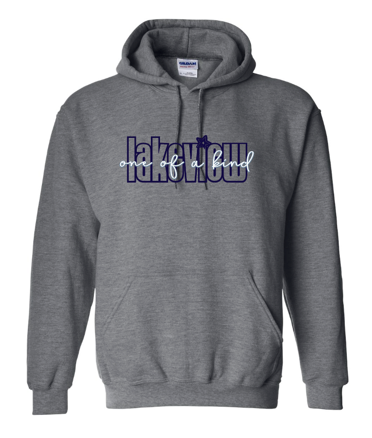 Lakeview "One of a Kind" Design Hooded Sweatshirt (dark heather)