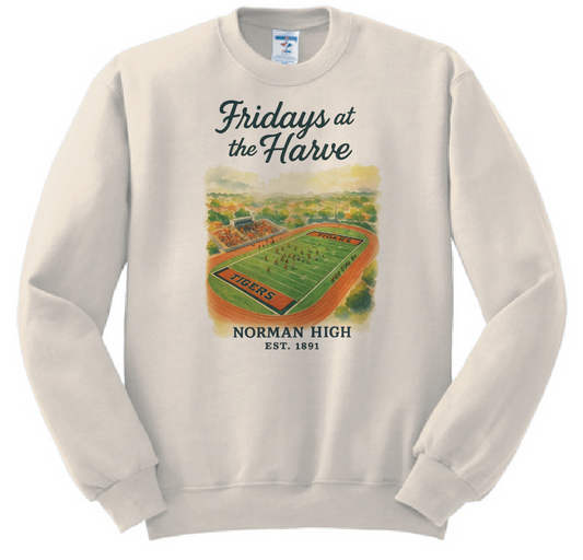 NHS Cheer "Stadium" Design Crewneck Sweatshirt