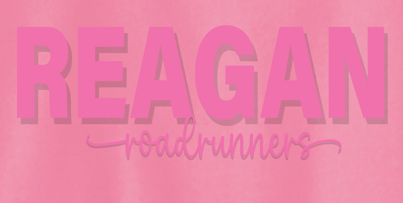 Reagan "3D Puff" Crewneck Sweatshirt (pink)