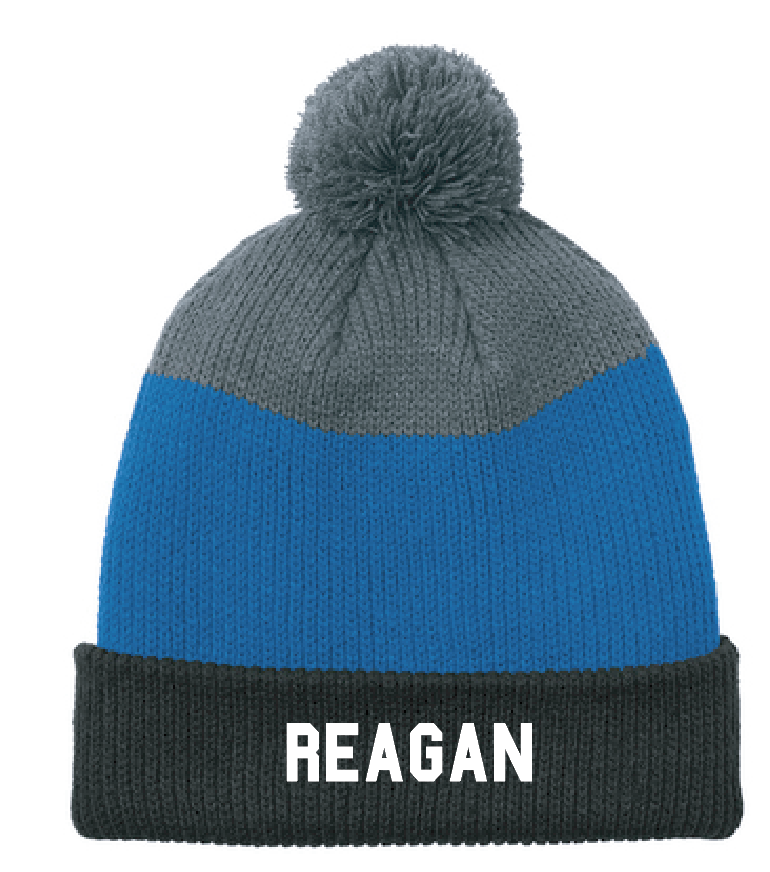 Reagan Embroidered Beanie (stripe)