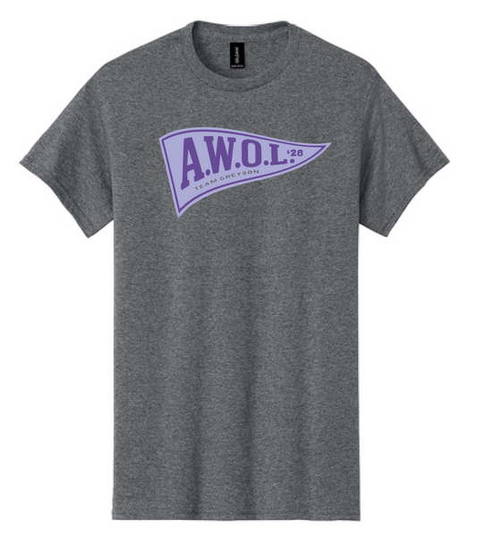 Washington AWOL "Pennant" Design S/S T-shirt (dark heather)