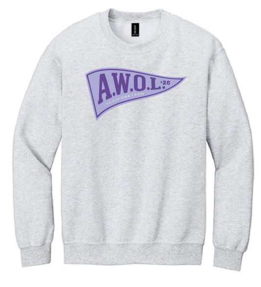 Washington AWOL "Pennant" Design Crewneck Sweatshirt (ash)