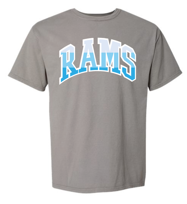 VFS "Color Stack" Design Comfort Colors S/S T-shirt (grey)