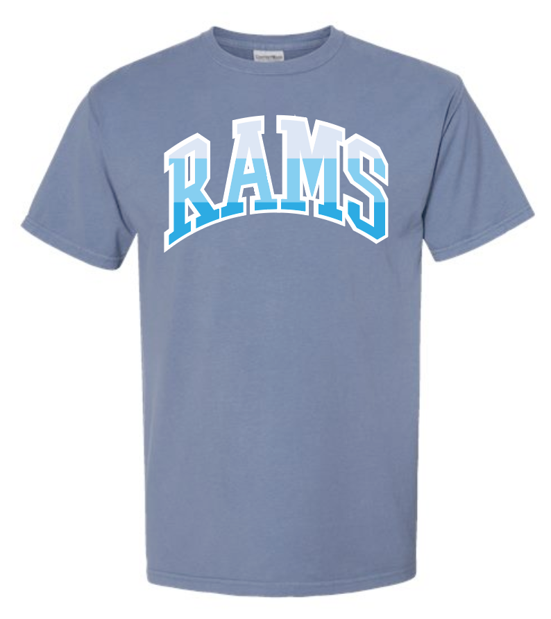 VFS "Color Stack" Design Comfort Colors S/S T-shirt (blue)