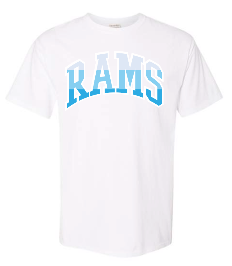 VFS "Color Stack" Design Comfort Colors S/S T-shirt (white)