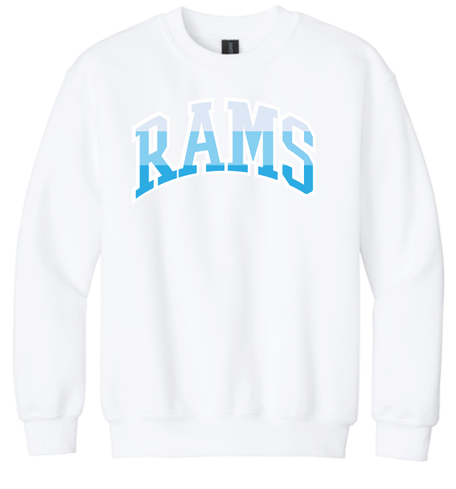 VFS "Color Stack" Design Crewneck Sweatshirt (youth)(white)