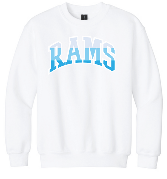 VFS "Color Stack" Design Crewneck Sweatshirt (youth)(white)