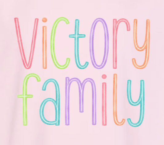 VFS "Watercolor" Design Crewneck Sweatshirt (youth)(pink)