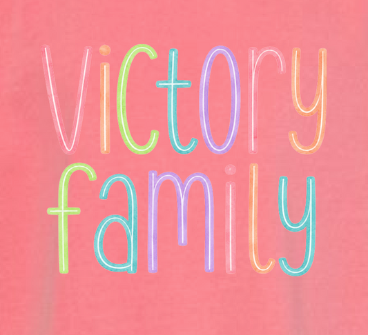 VFS "Watercolor" Design Crewneck Sweatshirt (youth)(mauve)