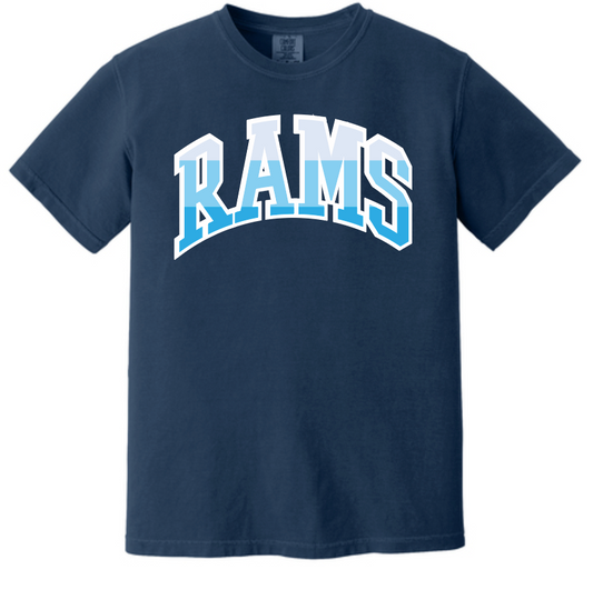 VFS "Color Stack" Design Comfort Colors S/S T-shirt (navy)