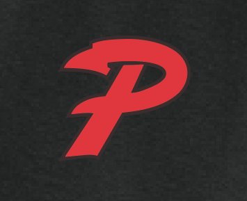 Purcell Band "Full Color Field" Design Gildan Hooded Sweatshirt