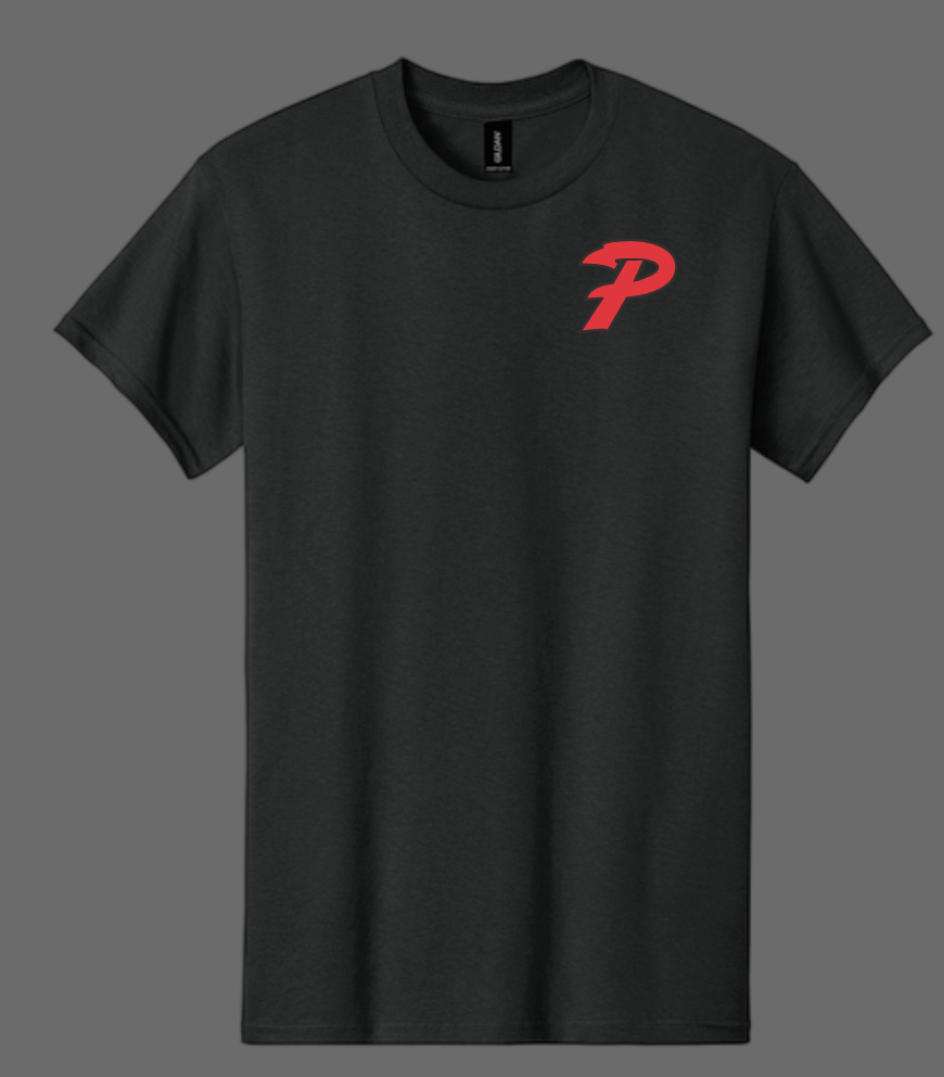 Purcell Band "Full Color Field" Design Gildan S/S T-shirt