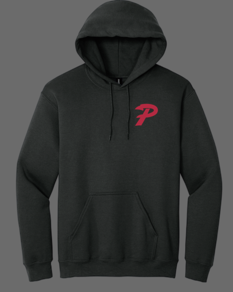 Purcell Band "Full Color Field" Design Gildan Hooded Sweatshirt