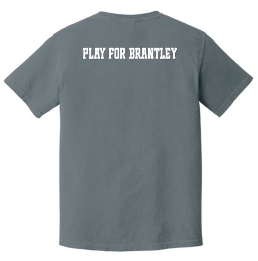 Team Brantley (Option 2) "Team Shirt" Comfort Colors S/S T-shirt (granite)