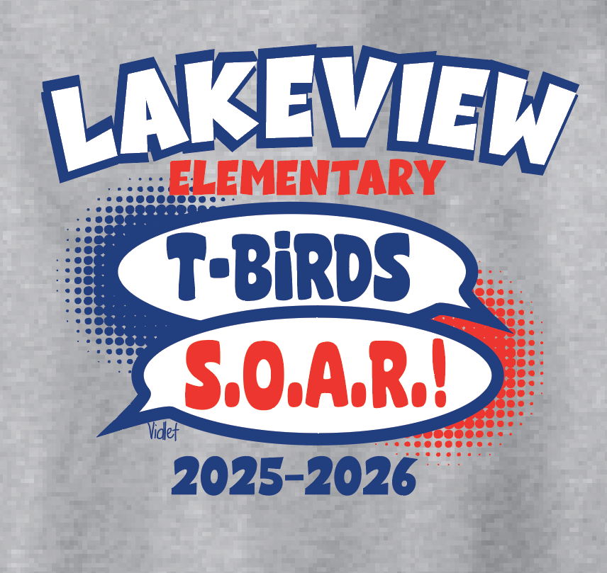 Lakeview "S.O.A.R." Design Hooded Sweatshirt (heather)