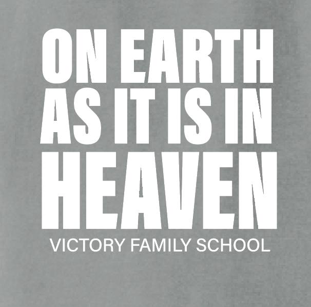 VFS "On Earth" Design Comfort Colors S/S T-shirt (granite)