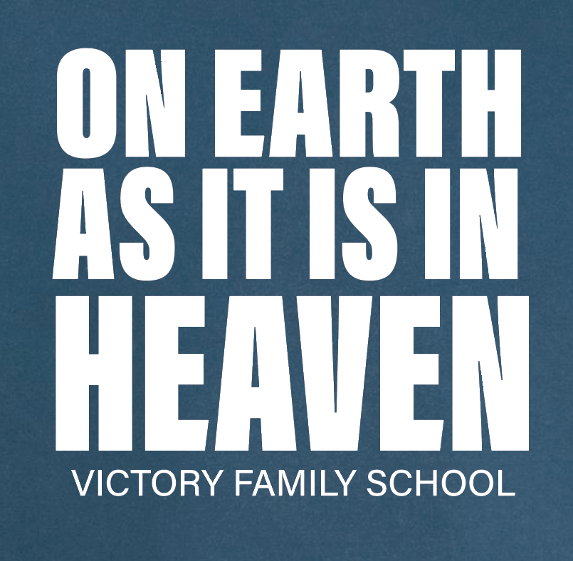 VFS "On Earth" Design Comfort Colors Crewneck Sweatshirt (navy)