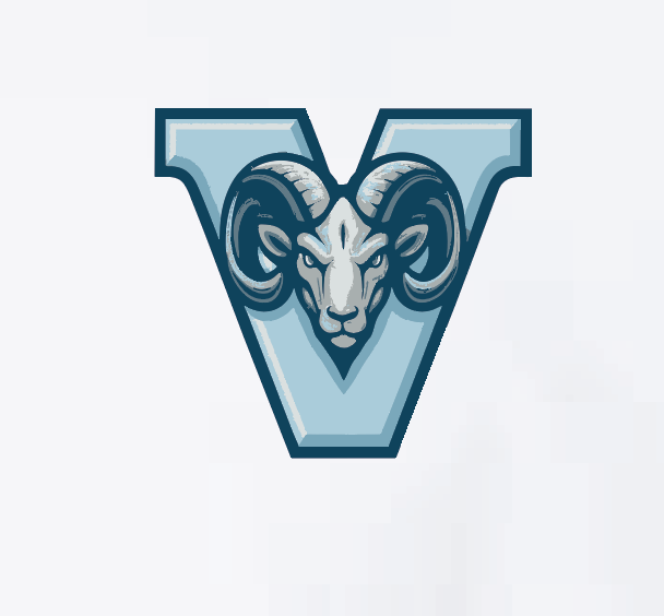 VFS "V Ram" Design Comfort Washed S/S T-shirt (white) (youth)