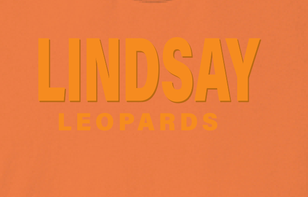 Lindsay Basketball "Leopards Puff" Design Hooded Sweatshirt (orange)