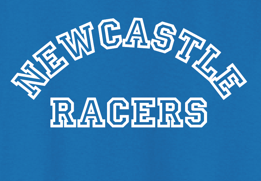 Newcastle Middle School "Curved Text" Gildan Hooded Sweatshirt (royal)